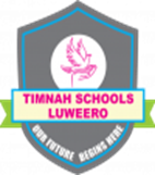Timnah Schools Luweero Logo